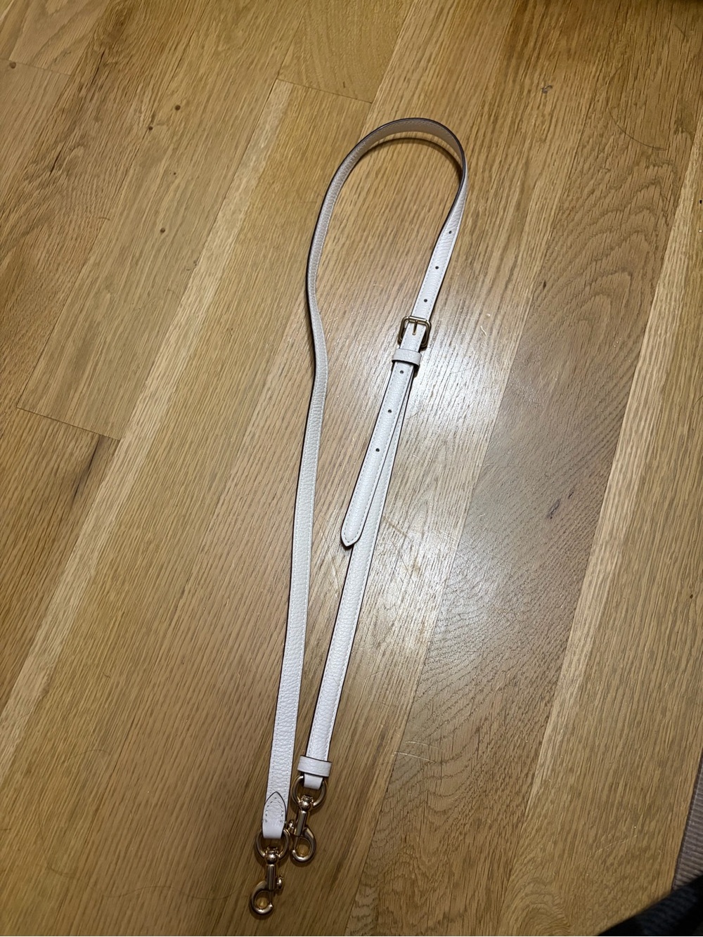 Coach bag strap